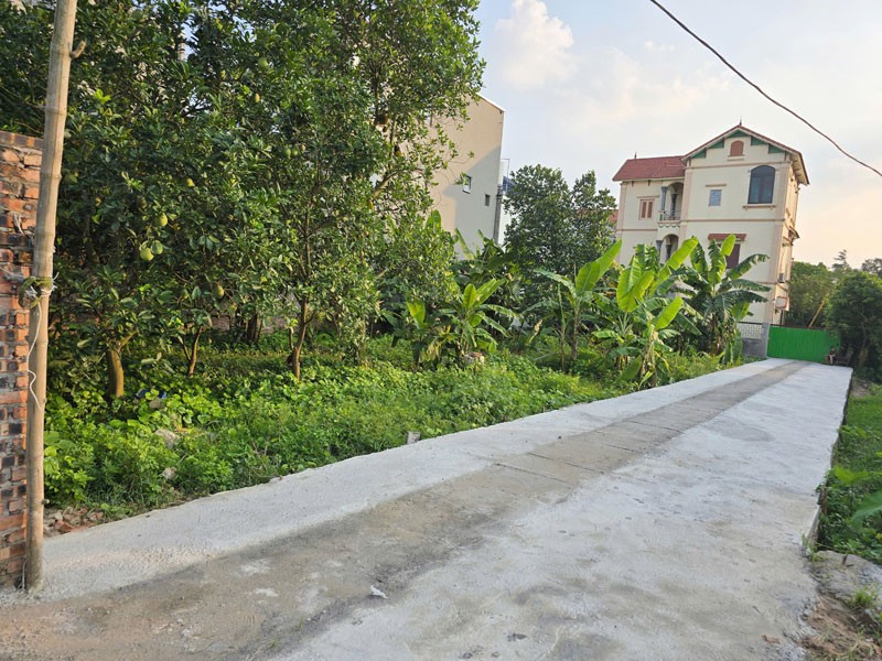 Chính chủ bán lô góc 444,2m2 đất Kim Sơn, Thuận An, Gia Lâm. Cách 10m ra đường đê ô tô đỗ tránh. 2