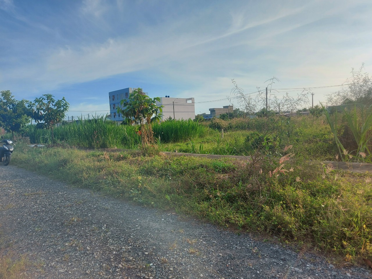 Đất đẹp 100m2 kdc Phước Đông giá tốt đầu tư 950tr 3