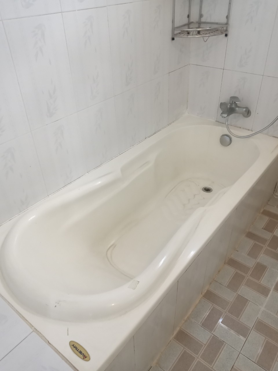 Cho thuê Nhà vườn chính chủ giá rẻ Trung Tâm Thủ Dầu Một (Cũ) 3