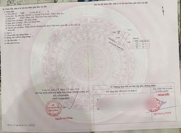 Trục chính đs 1 kdc Tân Mỹ xã Mỹ Lệ 85m2 giá rẻ cần bán gấp 1 tỏi 650tr 5