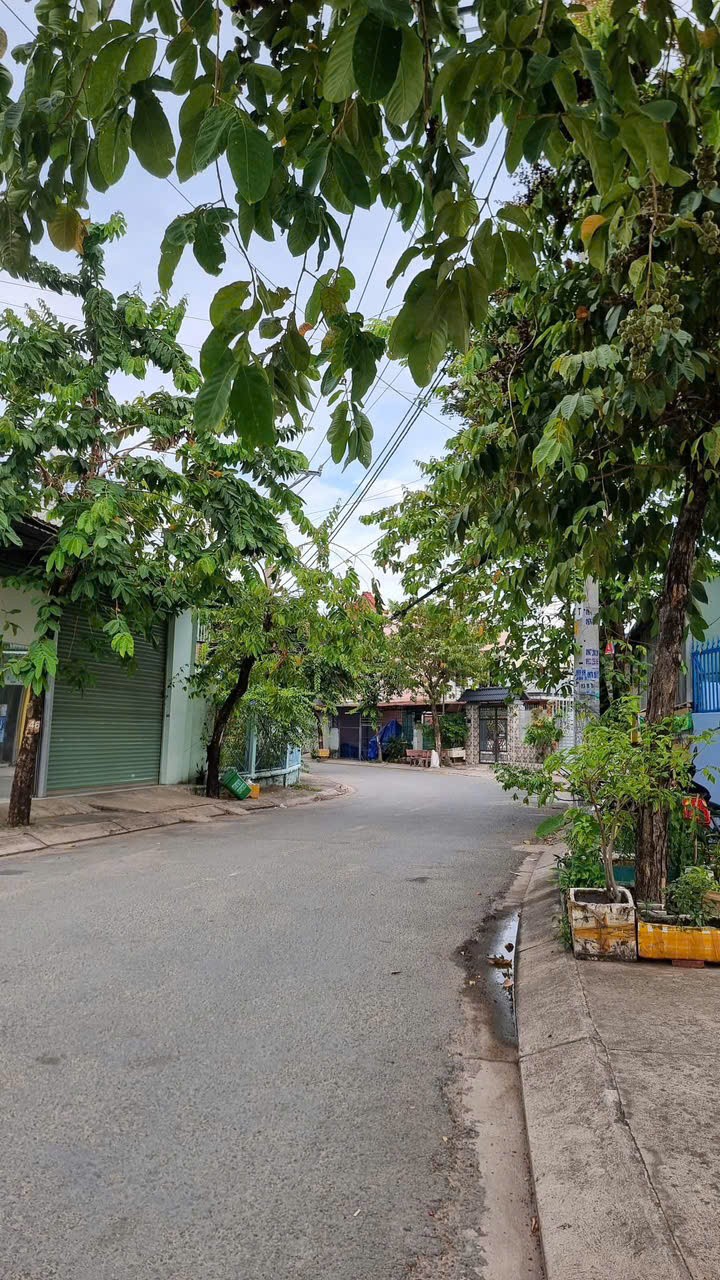 BÁN GẤP LÔ ĐẤT MT HẺM NHỰA 8M – GẦN CHỢ ĐẠI HẢI, XÃ BÀ ĐIỂM – HÓC MÔN 2