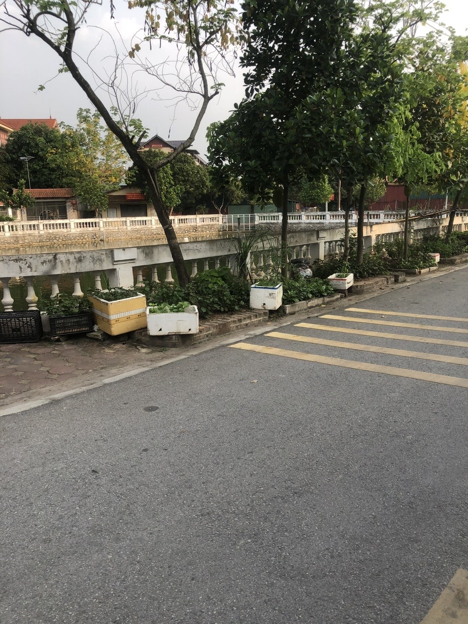 ĐẦU TƯ ĐINH ( ĐẤT ĐA TỐN ). ĐƯỜNG TRỤC CHÍNH-Ô TÔ NGỦ TRONG NHÀ- HÀNG XÓM VIN & ECO. 52M2 GIÁ 2,8 2