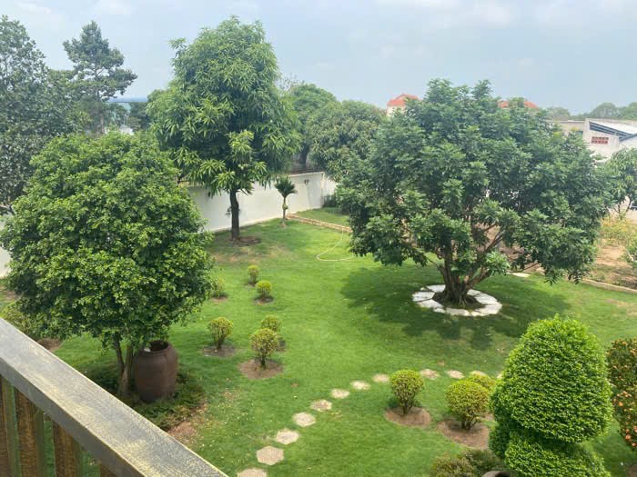BIỆT PHỦ SÂN VƯỜN – MẶT TIỀN ĐƯỜNG LỚN – FULL NỘI THẤT – TÂN XUÂN 2, HÓC MÔN 3