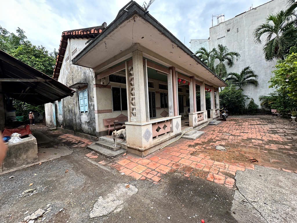 BÁN ĐẤT ĐẸP 843M² – MẶT TIỀN THỤT ĐƯỜNG TRƯƠNG THỊ HOA – QUẬN 12 3