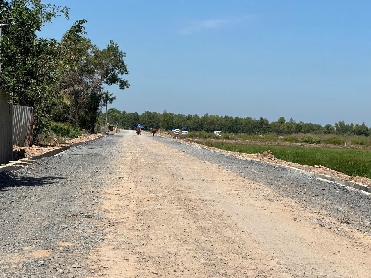 BÁN GẤP 55.000M² ĐẤT ĐẸP – PHƯỚC VĨNH AN – CỦ CHI – ĐÃ SAN LẤP – CHỈ 195 TỶ TL 2