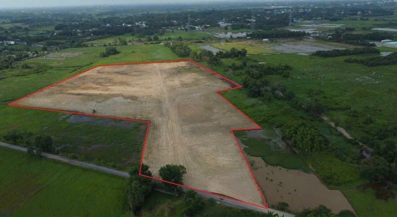 BÁN GẤP 55.000M² ĐẤT ĐẸP – PHƯỚC VĨNH AN – CỦ CHI – ĐÃ SAN LẤP – CHỈ 195 TỶ TL 5