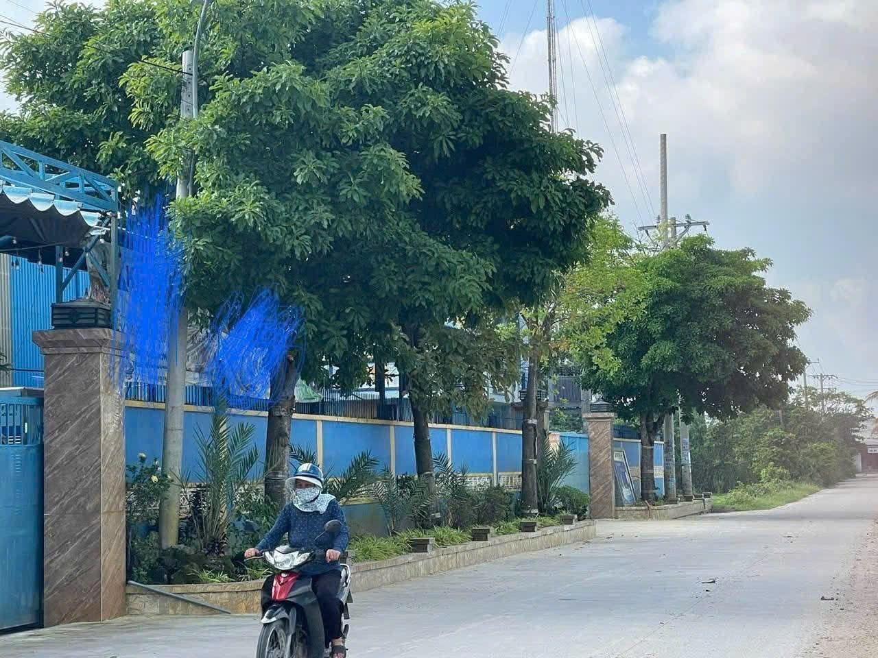 KHO XƯỞNG 3.486M² – 1/ ĐƯỜNG TÂN HỘI (ĐT9) – ĐỨC HÒA, LONG AN CHỈ 34 TỶ‼ 2