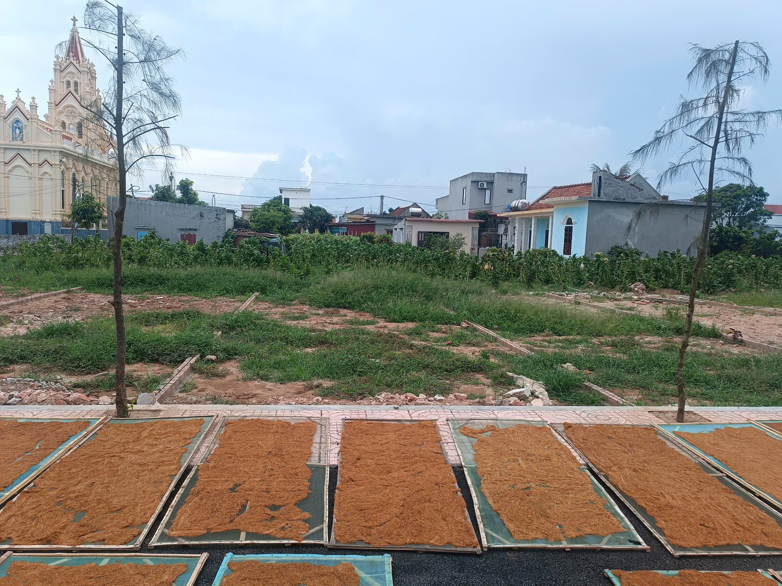 Cần bán Đất đường Quốc Lộ 37B, Thị trấn Quất Lâm, Diện tích 100m², Giá 1 Tỷ 2