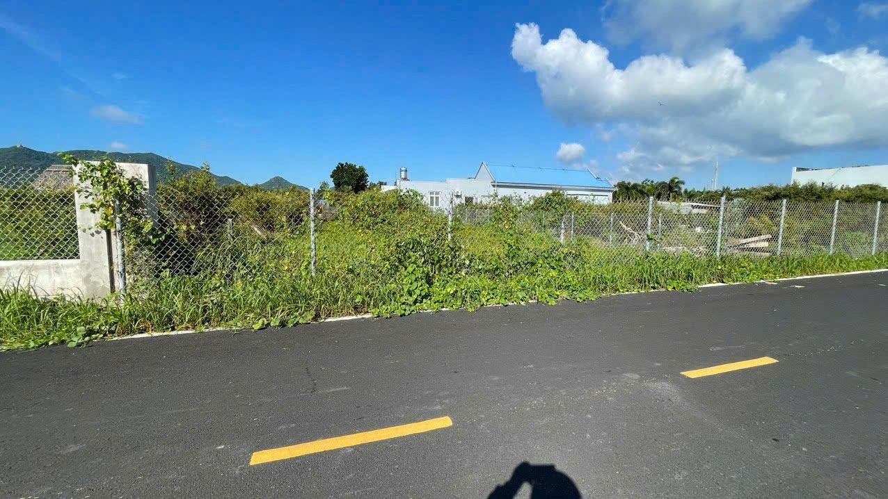 Cần bán Đất đường 44A, Thị trấn Phước Hải, Diện tích 400m², Giá 800 Triệu 3