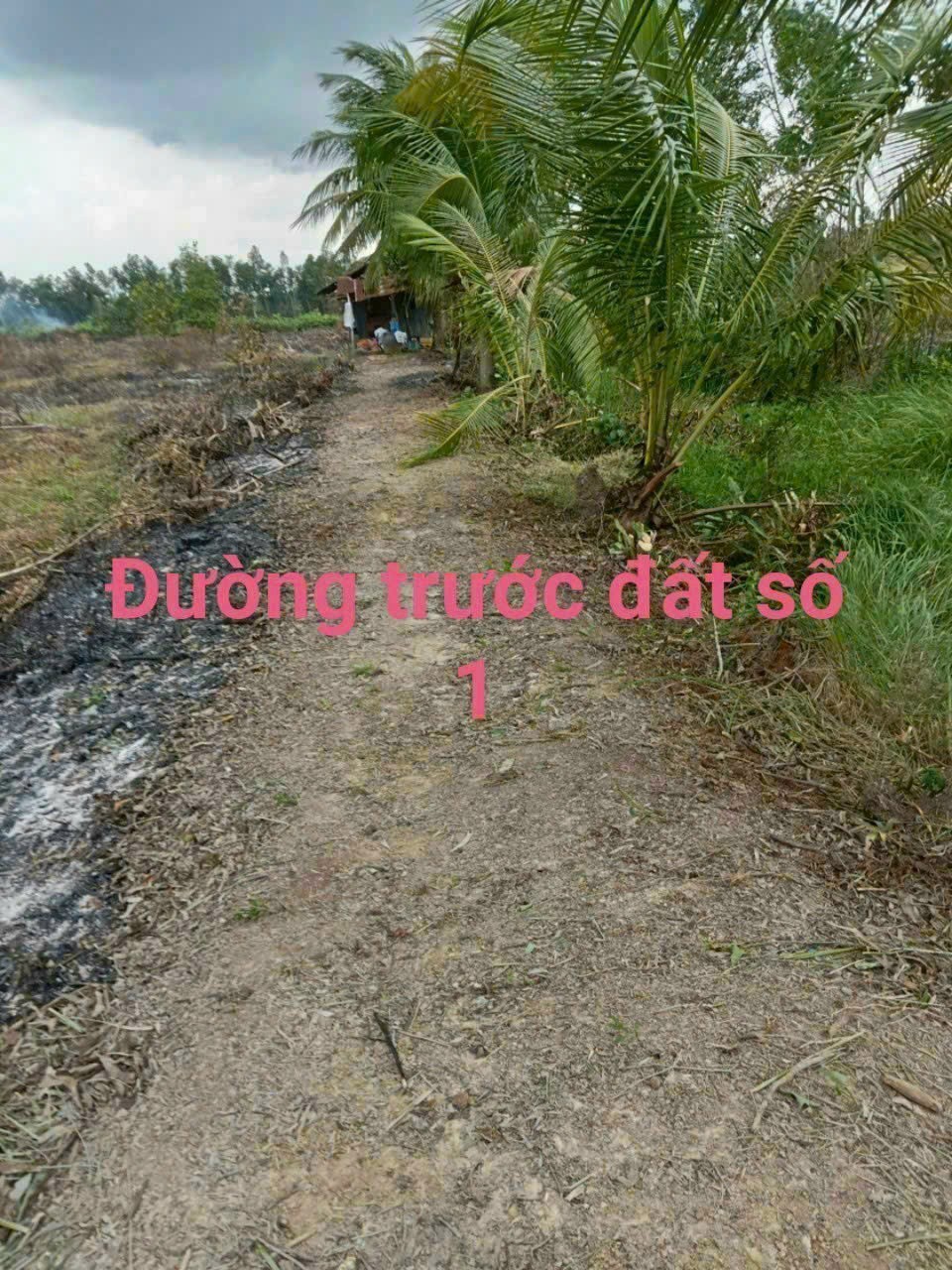 1600m2 đất vườn xã Thạnh Hòa, Bến Lức , Long An giá 5 tỷ 5