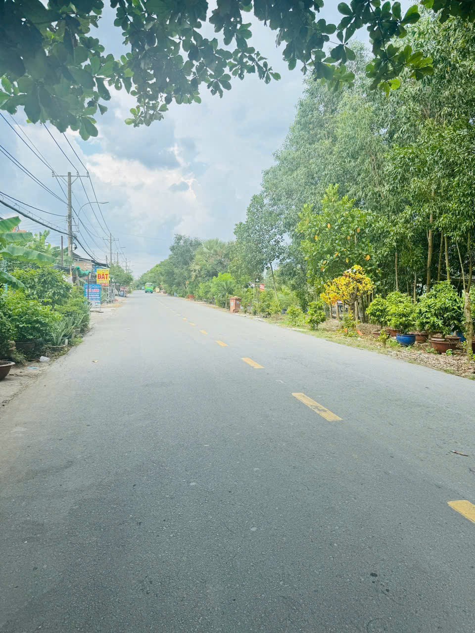 156 đất hẻm đường Vườn Thơm, xã Bình Lợi giá 2,6 tỷ 3
