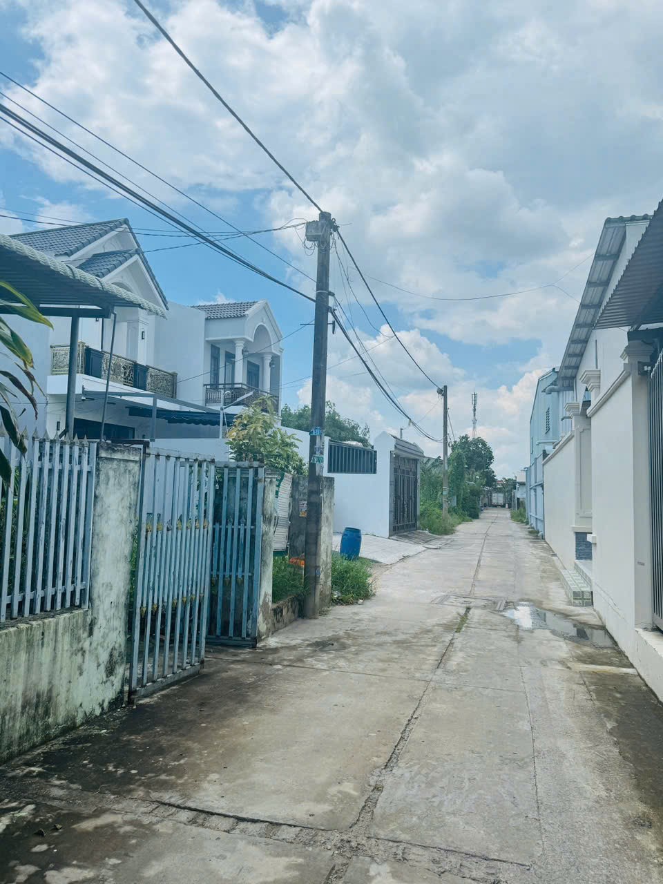 156 đất hẻm đường Vườn Thơm, xã Bình Lợi giá 2,6 tỷ 4