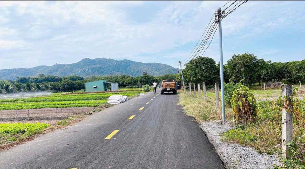 Cần bán Đất đường Tỉnh lộ 44, Thị trấn Phước Hải, Diện tích 2000m², Giá 1.5 Tỷ