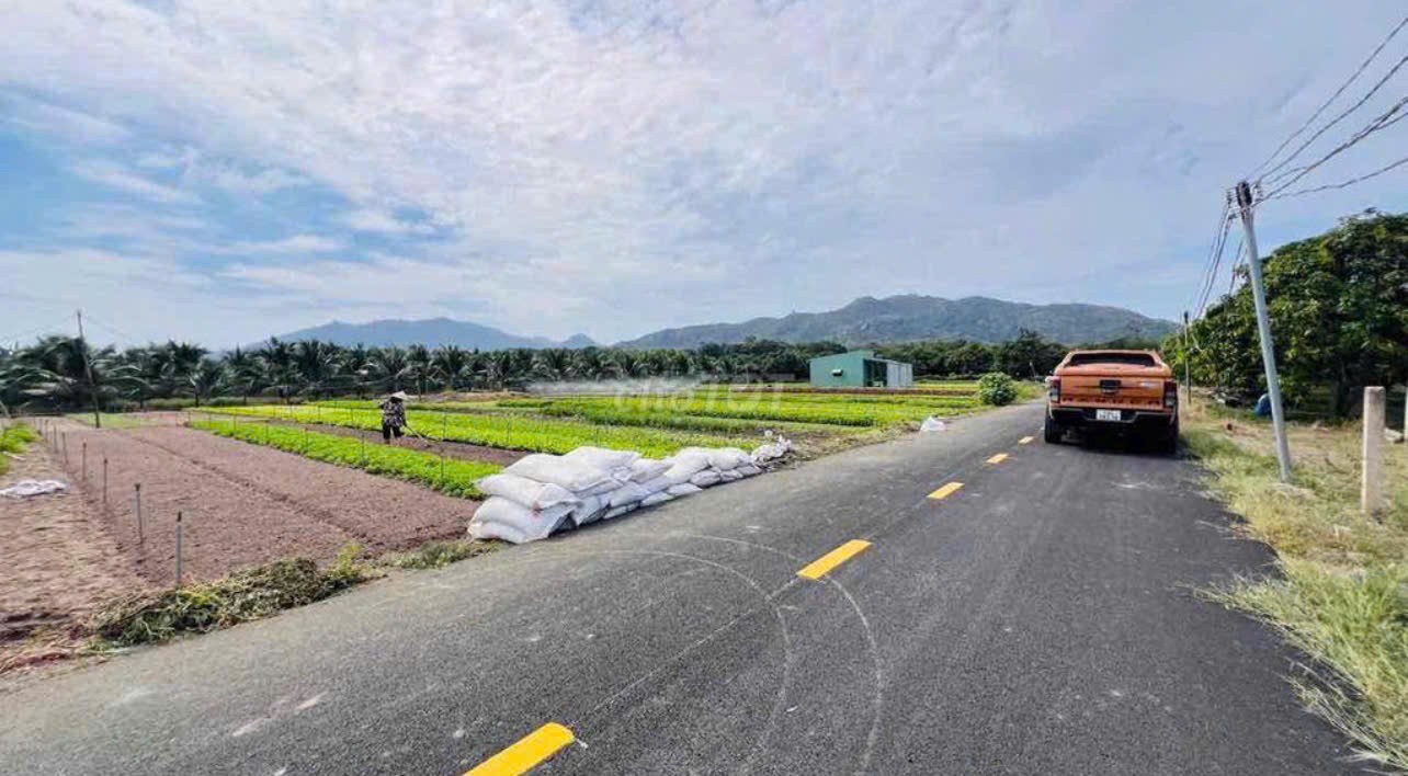 CHỦ NGỘP CẦN BÁN GẤP LÔ ĐẤT - VIEW NÚI MINH ĐẠM - THỊ TRẤN PHƯỚC HẢI CHỈ 1,5 TỶ 3