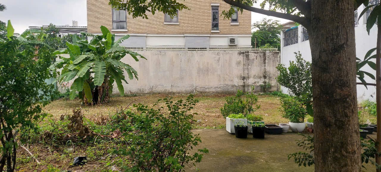 Cần bán Đất Phường An Khánh, Quận 2, Diện tích 360m², Giá 112 Tỷ 3