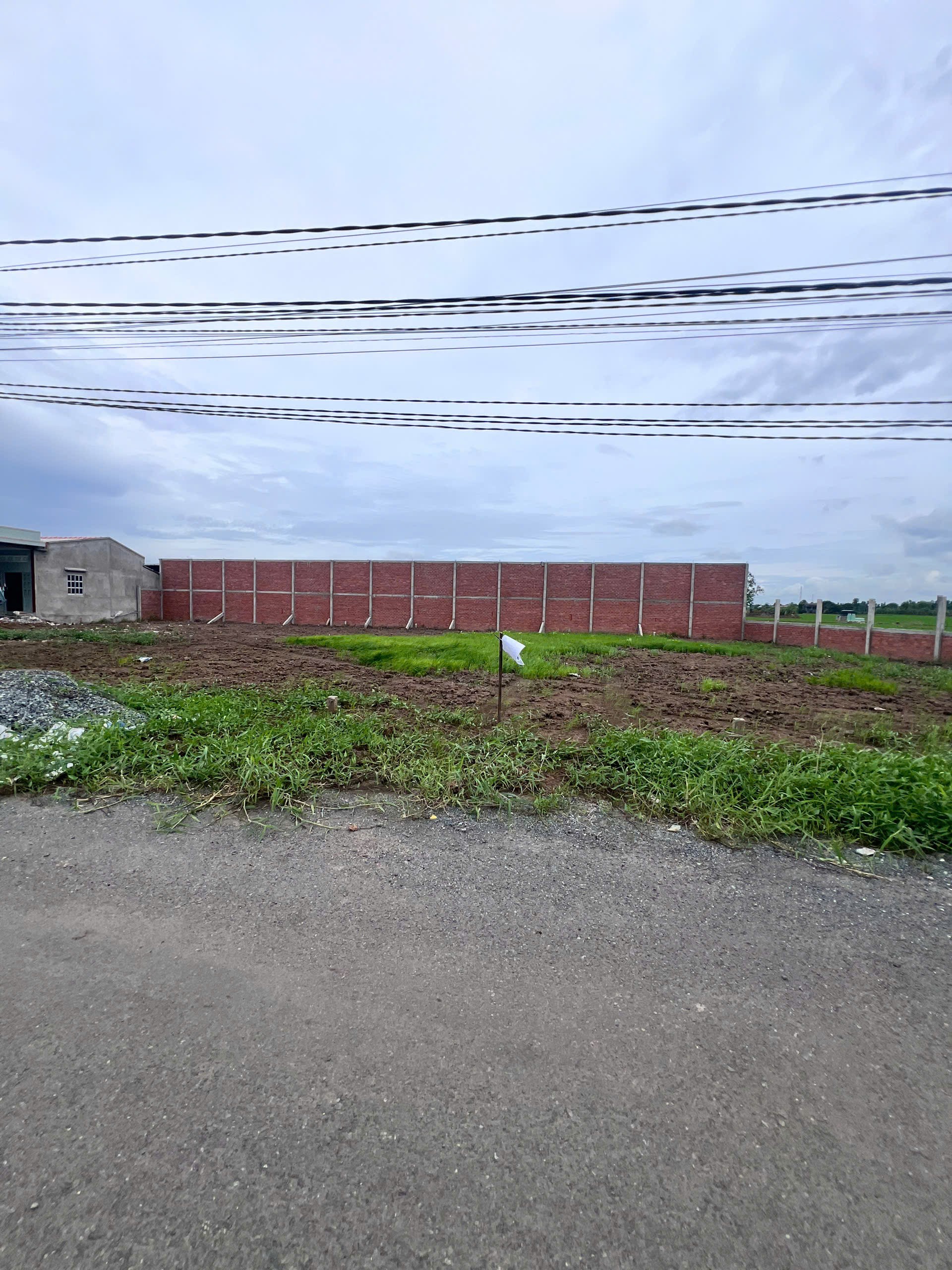 Cần bán Đất Xã Bình Tịnh, Tân Trụ, Diện tích 130m², Giá 670.000.000đ 5