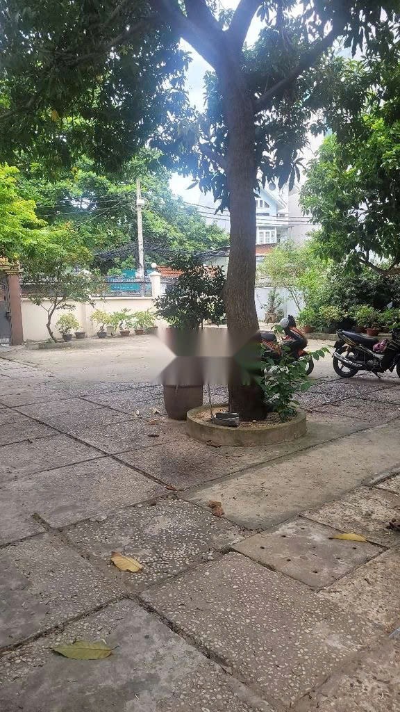 Cho thuê Nhà mặt tiền Phường 5, Bình Thạnh, Diện tích 1000m², Giá 65 Triệu/tháng