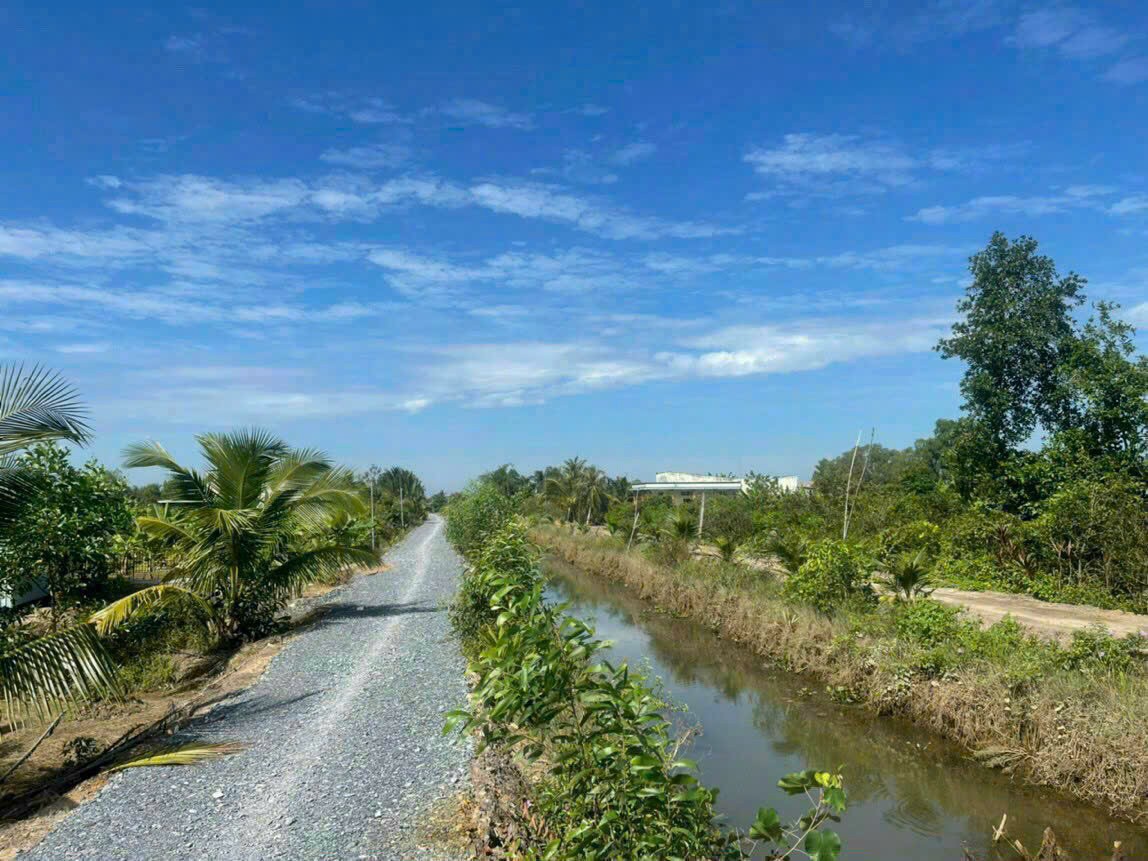1700m2 đất ấp 8, Lương Hòa, Bến Lức , Long An giá 2,9 tỷ 3
