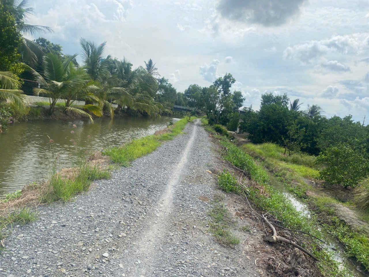 1700m2 đất ấp 8, Lương Hòa, Bến Lức , Long An giá 2,9 tỷ 4