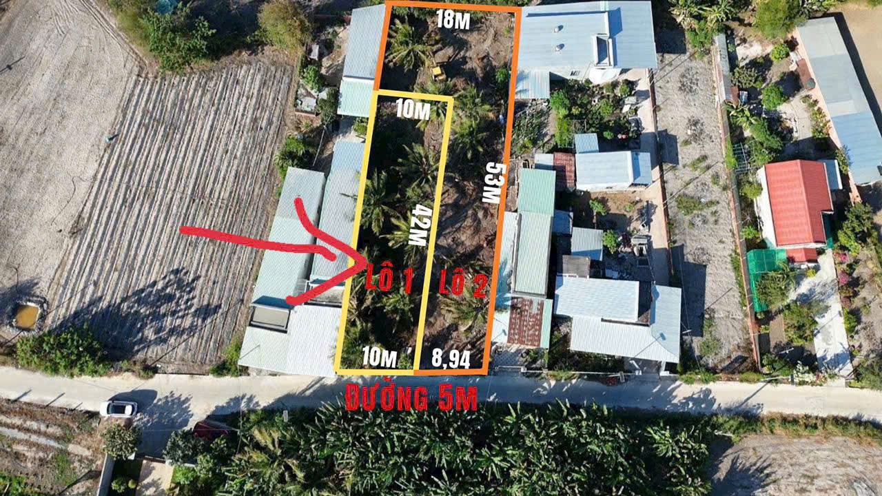 CHỦ NGỘP CẦN BÁN ĐẤT VƯỜN DỪA ĐANG RA TRÁI – XÃ TAM AN, LONG ĐIỀN CHỈ 1,5 TỶ 2