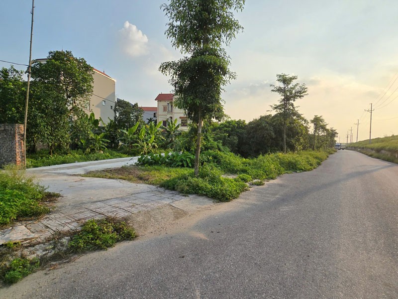 Chính chủ bán lô góc 444,2m2 đất Kim Sơn, Thuận An, Gia Lâm. Cách 10m ra đường đê ô tô đỗ tránh. 3