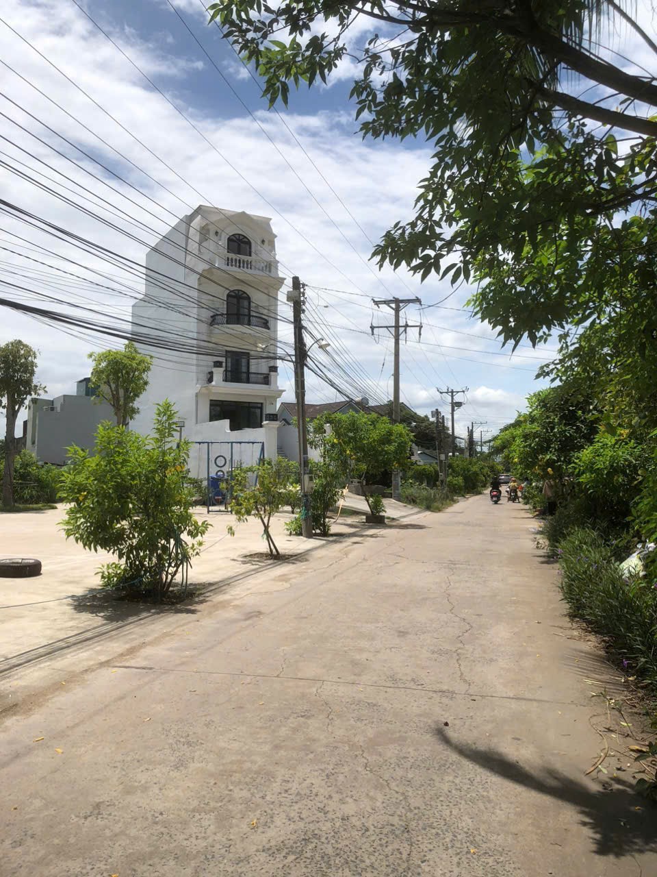 CHỦ CẦN BÁN GẤP ĐẤT THỔ CƯ 100% GIÁP THÀNH PHỐ HỒ CHÍ MINH 3