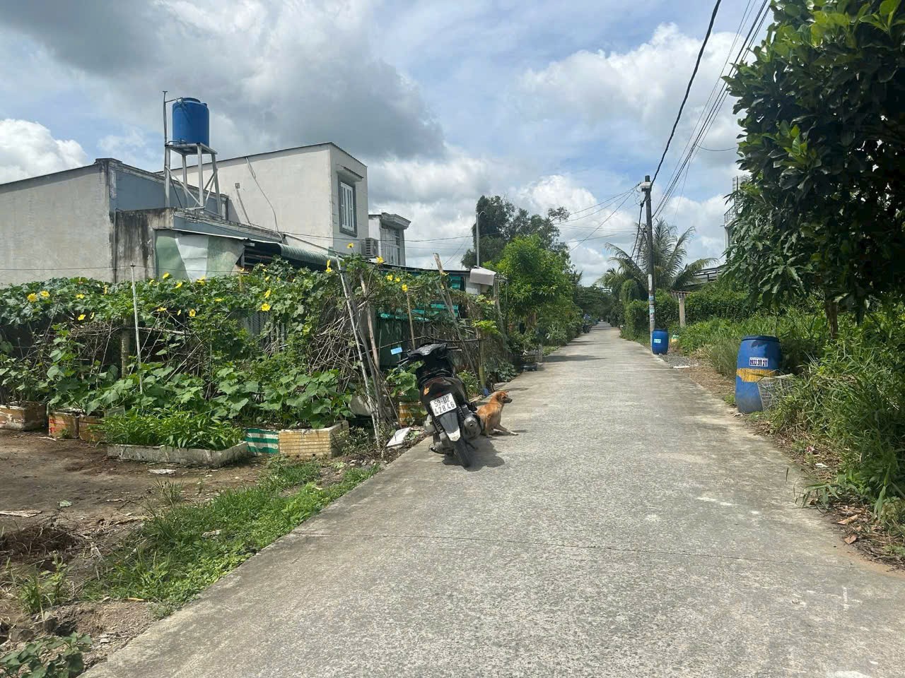 119m2 đất mặt tiền lô C An Hạ, xã Phạm Văn Hai, Bình Chánh giá 2,4 tỷ ( có 85,7m2 thổ) 2