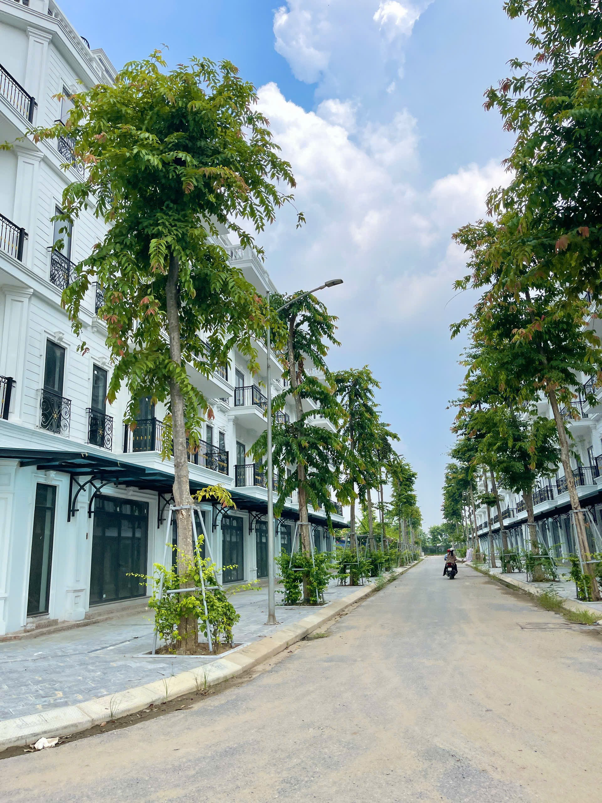 Cần bán Biệt thự dự án Đông Dương Residence, Diện tích 80m², Giá 11.6 Tỷ 3