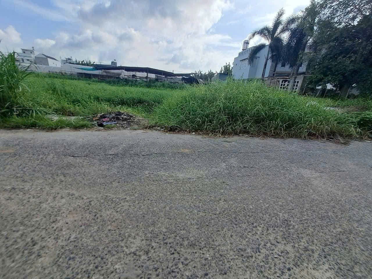 ĐẤT 1/ ĐẶNG THÚC VỊNH THÔNG HUỲNH THỊ NA, THỔ CƯ 500M² ĐÔNG THẠNH, HÓC MÔN 2