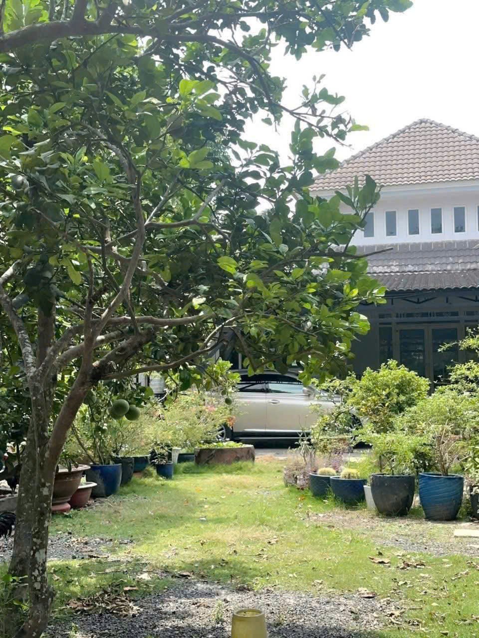 BÁN BIỆT THỰ VƯỜN + ĐẤT MẶT TIỀN NHỰA – TÂN THÔNG HỘI, CỦ CHI CHỈ 10TR/M². 2