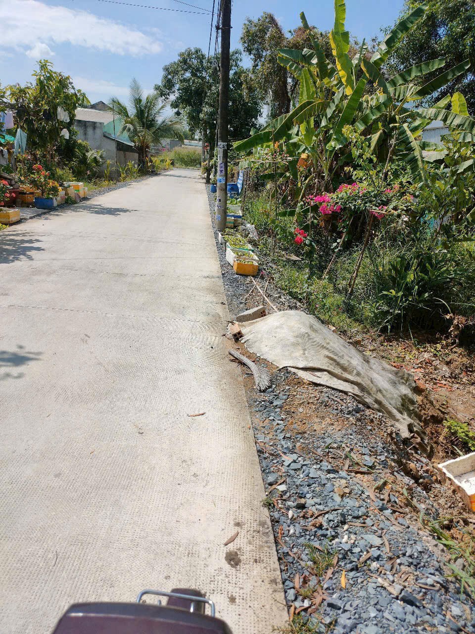 1038m2 đất mặt tiền An Hạ, xã Phạm Văn Hai, Bình chánh giá 11,6 tỷ 2