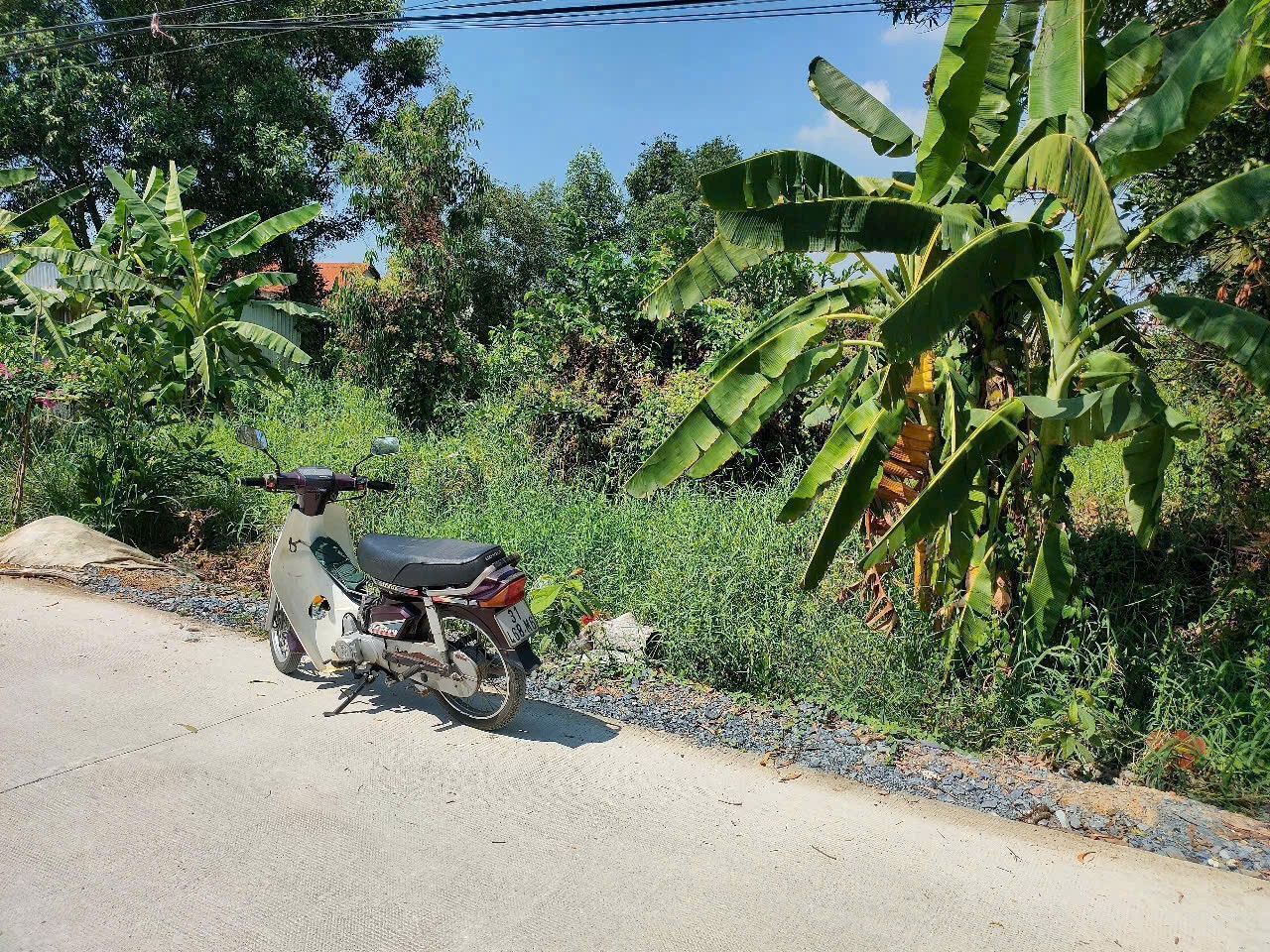 1038m2 đất mặt tiền An Hạ, xã Phạm Văn Hai, Bình chánh giá 11,6 tỷ 3