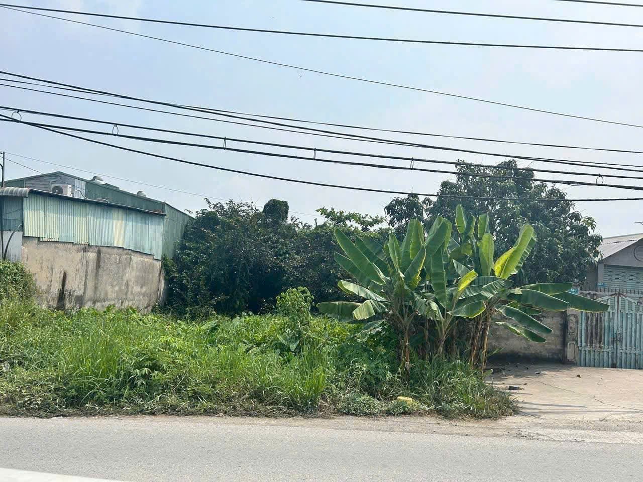 612m2 ( có 120m2 thổ) đất mặt tiền Thanh Niên, xã Phạm Văn Hai, Bình Chánh giá 5 tỷ 2