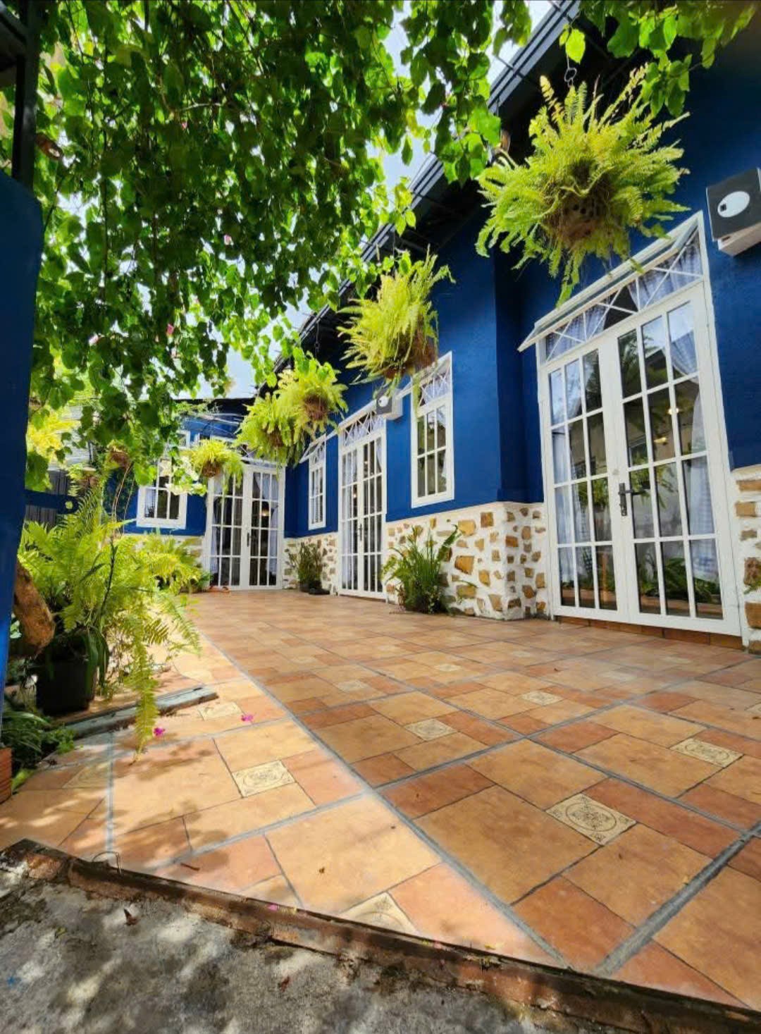 Bán căn homestay trung tâm đà lạt 138m2 giá 5ty450 còn thương lượng, 2