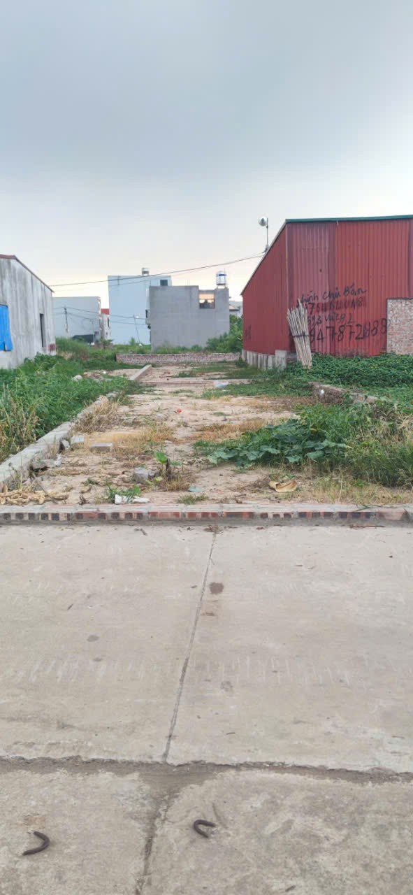 Đất tổ 9, Quang Minh, Mê Linh. Gần KCN và trường CD Y Dược Tuệ Tĩnh. DT 60m
