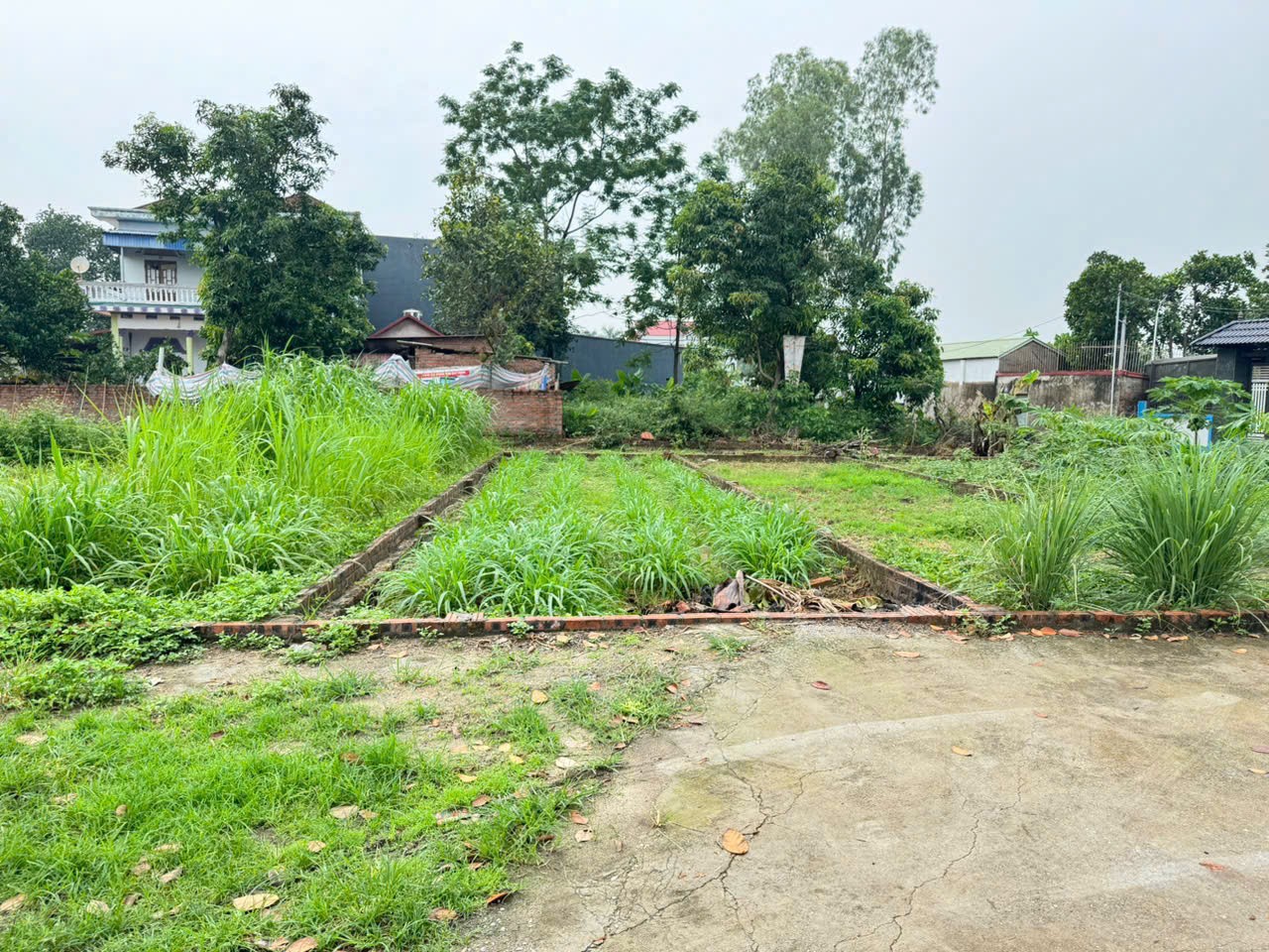 Bán 45m đất thôn Bạch Đa, Kim Hoa, Mê Linh. Gần KDT Kim Hoa, đón sóng đường vành đai 4 3