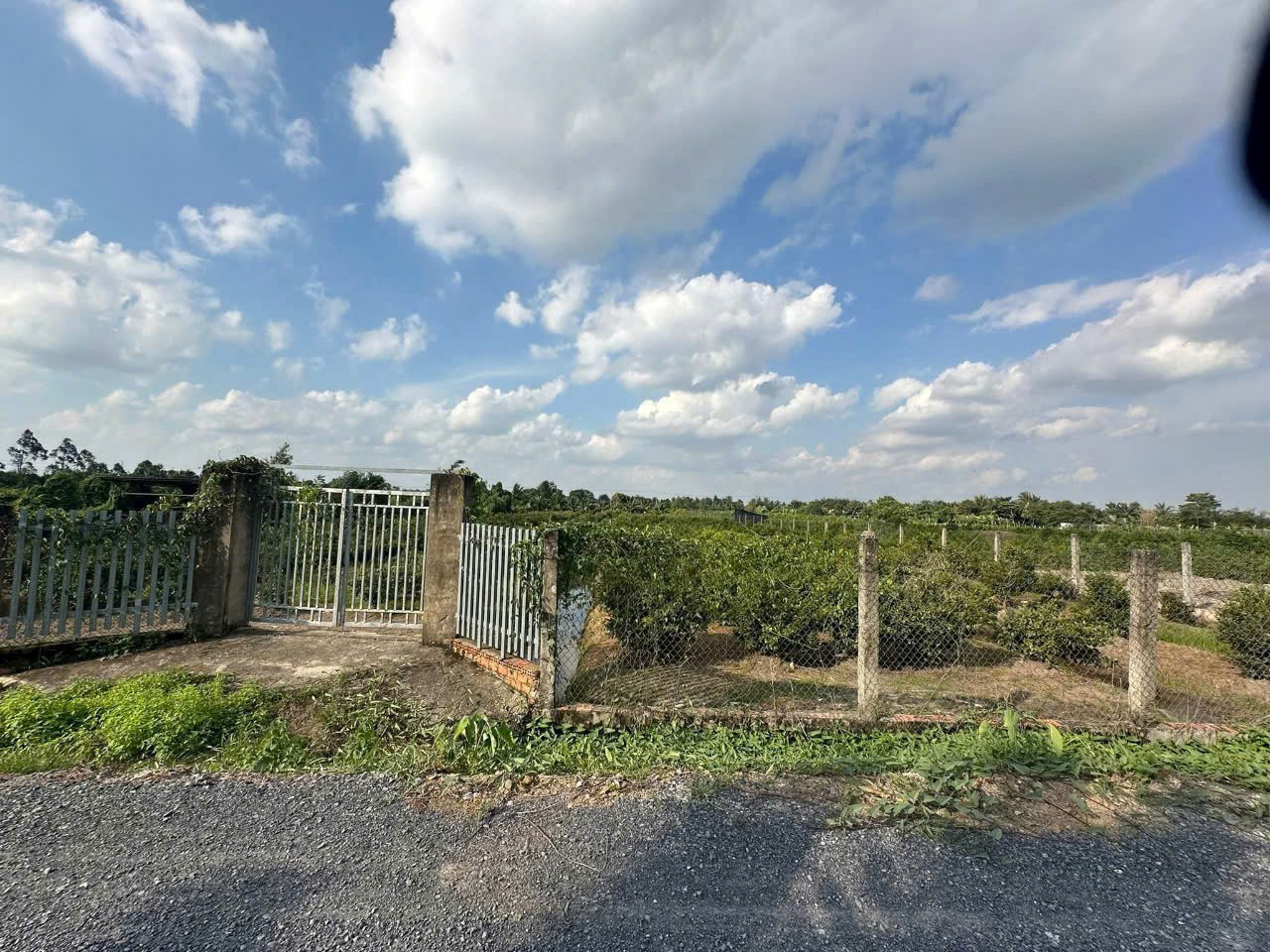 4683m2 đất vườn mt kênh 2, Vườn Thơm, xã Bình Lợi, Bình Chánh giá 9,84 tỷ