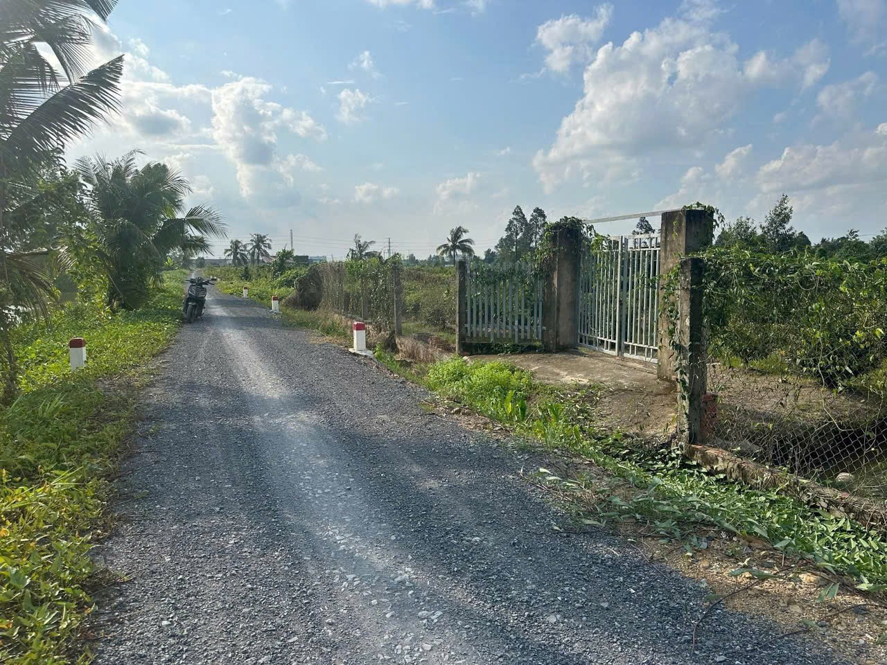 4683m2 đất vườn mt kênh 2, Vườn Thơm, xã Bình Lợi, Bình Chánh giá 9,84 tỷ 2