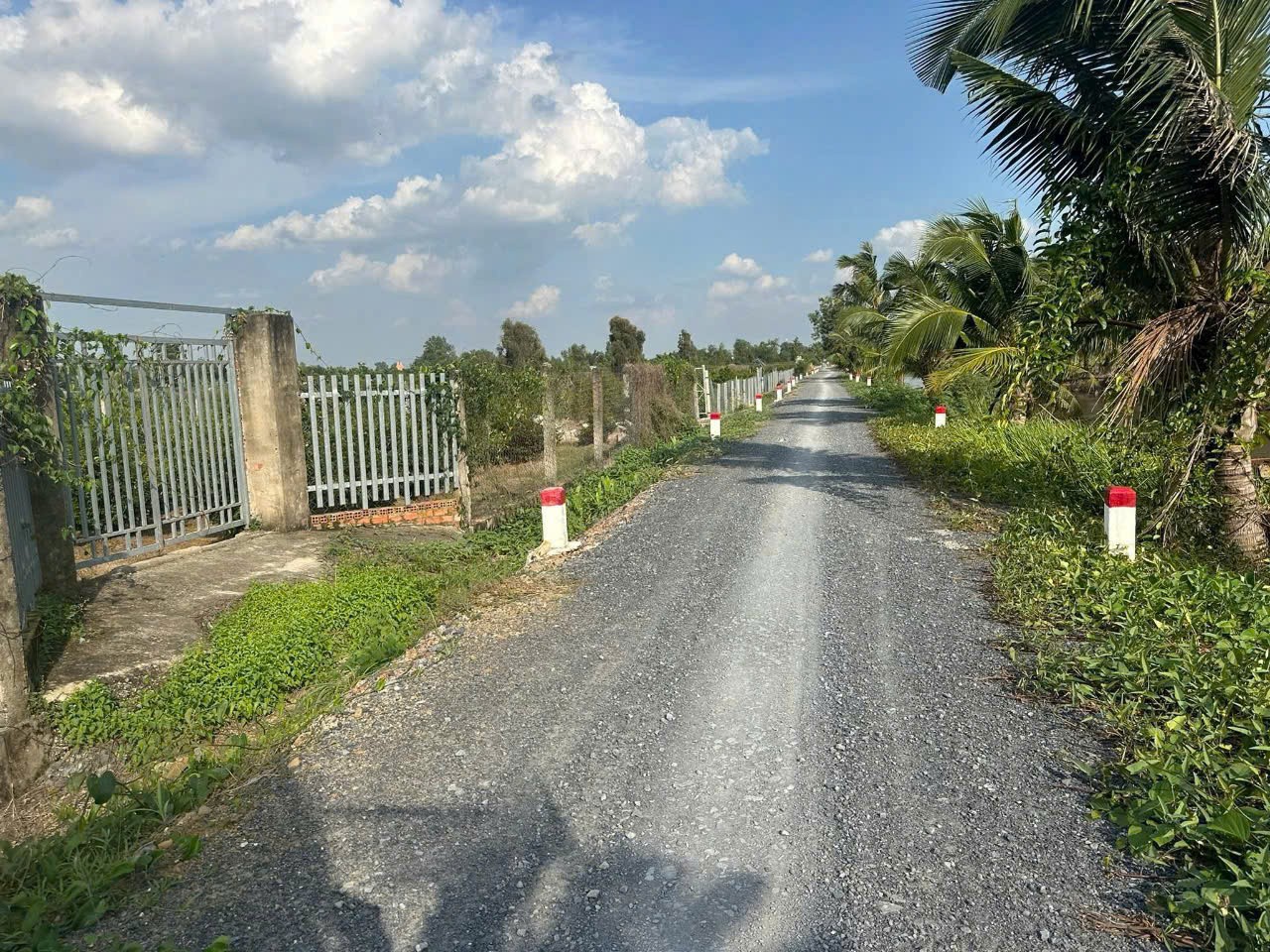 4683m2 đất vườn mt kênh 2, Vườn Thơm, xã Bình Lợi, Bình Chánh giá 9,84 tỷ 4