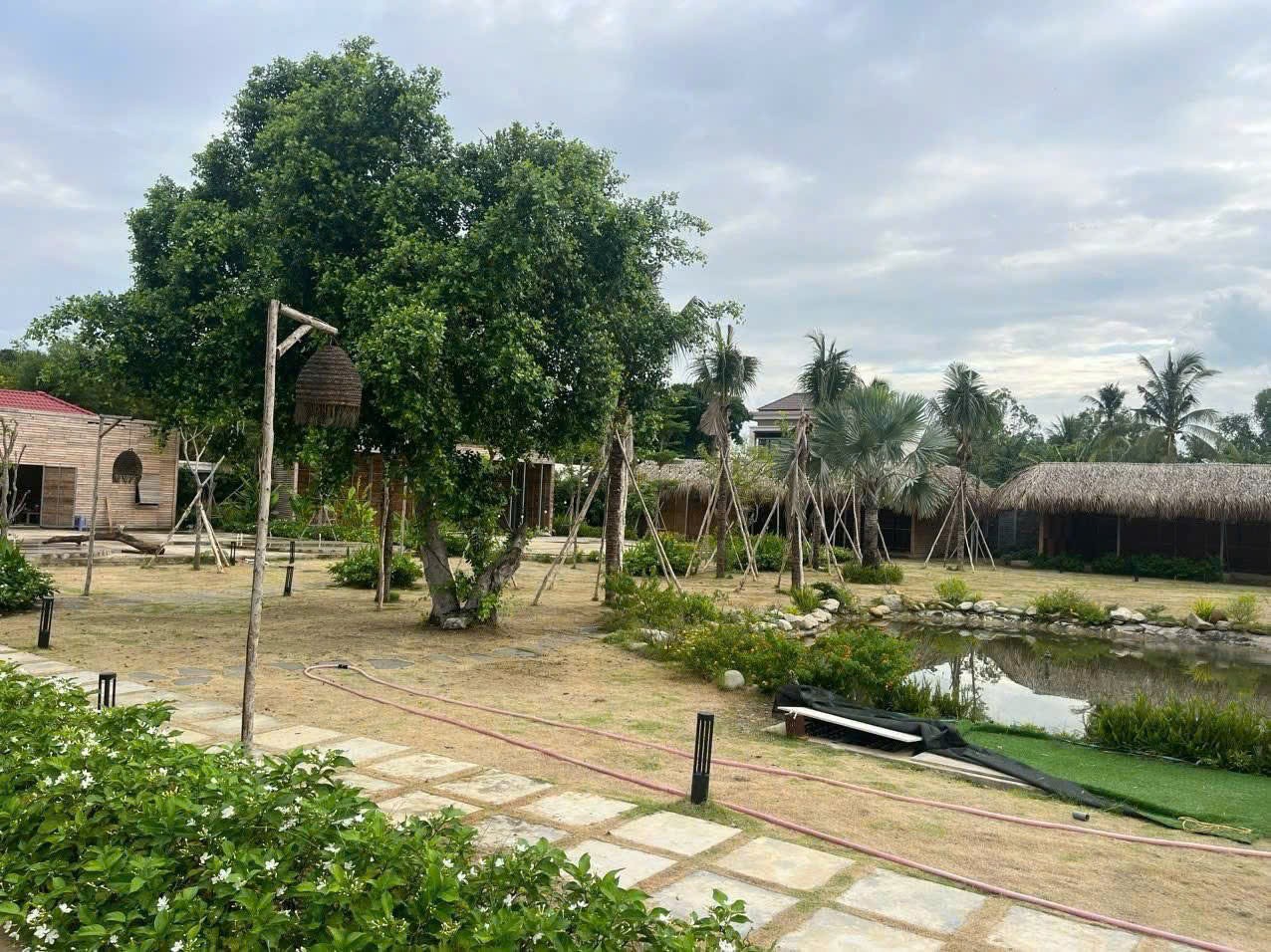 Cần bán Đất Phường Long Phước, Quận 9, Diện tích 5000m², Giá 60 Tỷ 10