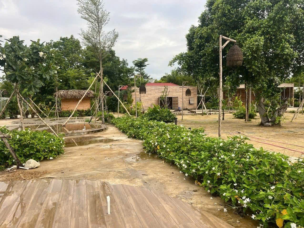 Cần bán Đất Phường Long Phước, Quận 9, Diện tích 5000m², Giá 60 Tỷ
