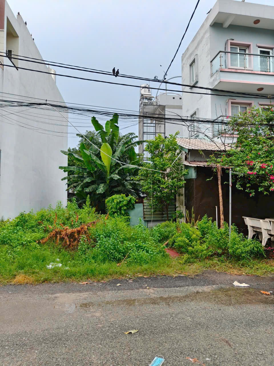 LÔ ĐẤT ĐẸP – ĐỐI DIỆN CÔNG VIÊN – ĐƯỜNG 12M – TRUNG CHÁNH, HÓC MÔN