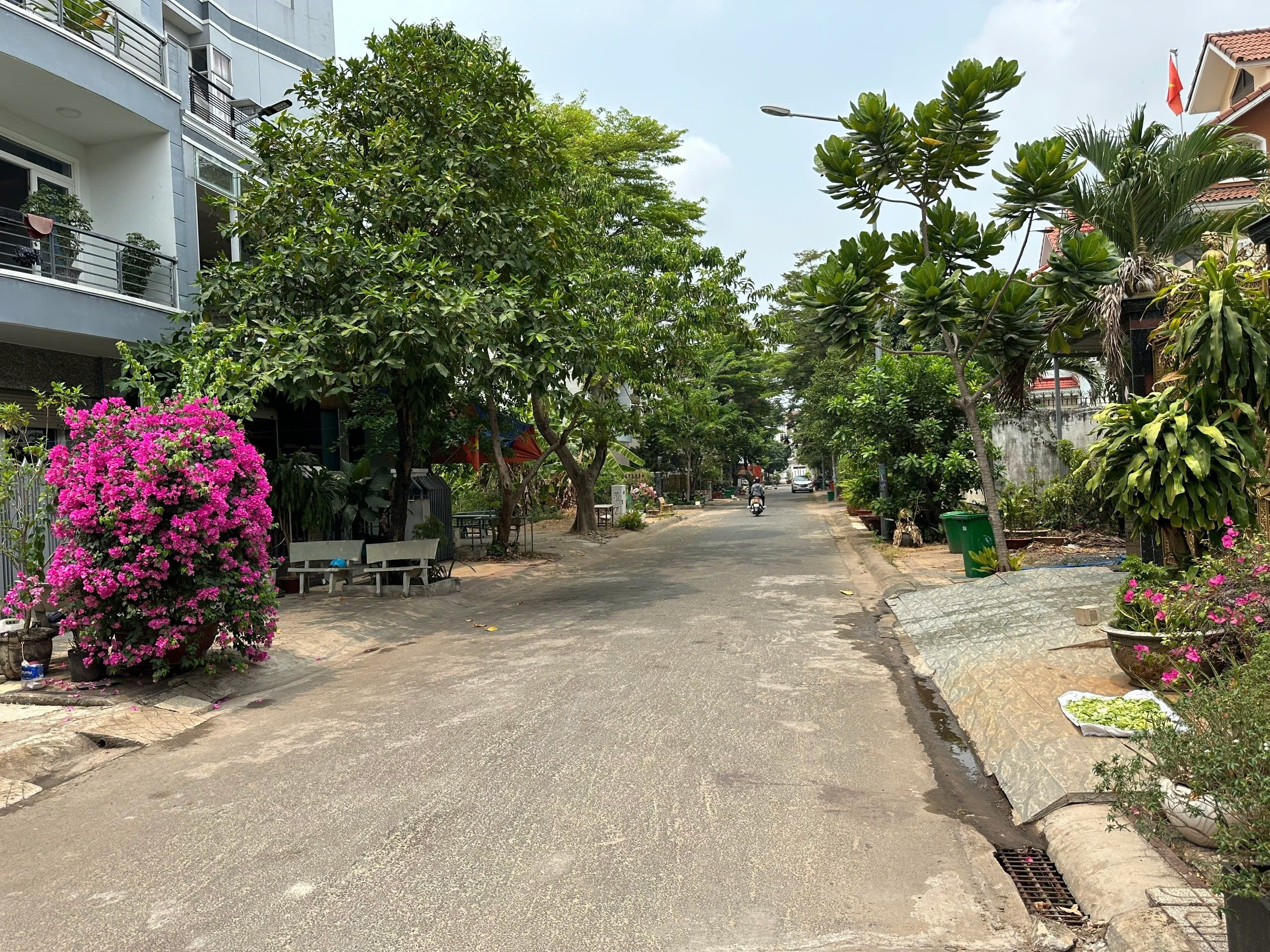 Cần bán Đất Quận 9, Hồ Chí Minh, Diện tích 156m², Giá 12.5 Tỷ 3
