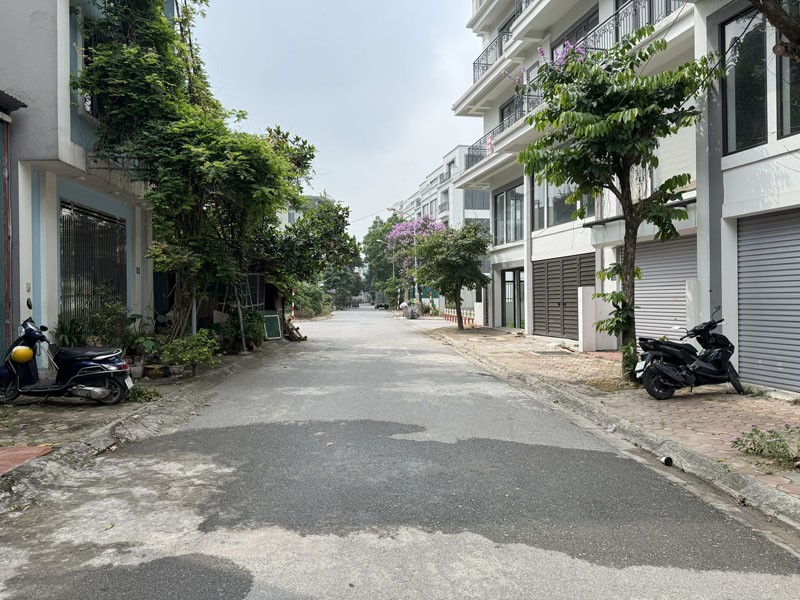 Đất TĐC Trâu Quỳ: 113m2 đường 11m, đối diện Shophouse Metropolitan - Khổ đất đẹp, đầu tư hoặc an cư 4