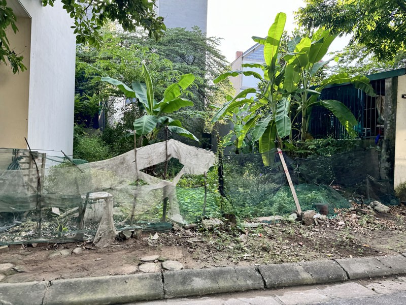 Đất TĐC Đông Dư, Bát Tràng: 60m2 mặt đường rộng, tiện ích đầy đủ, an cư/văn phòng/ đều hợp lý! 3