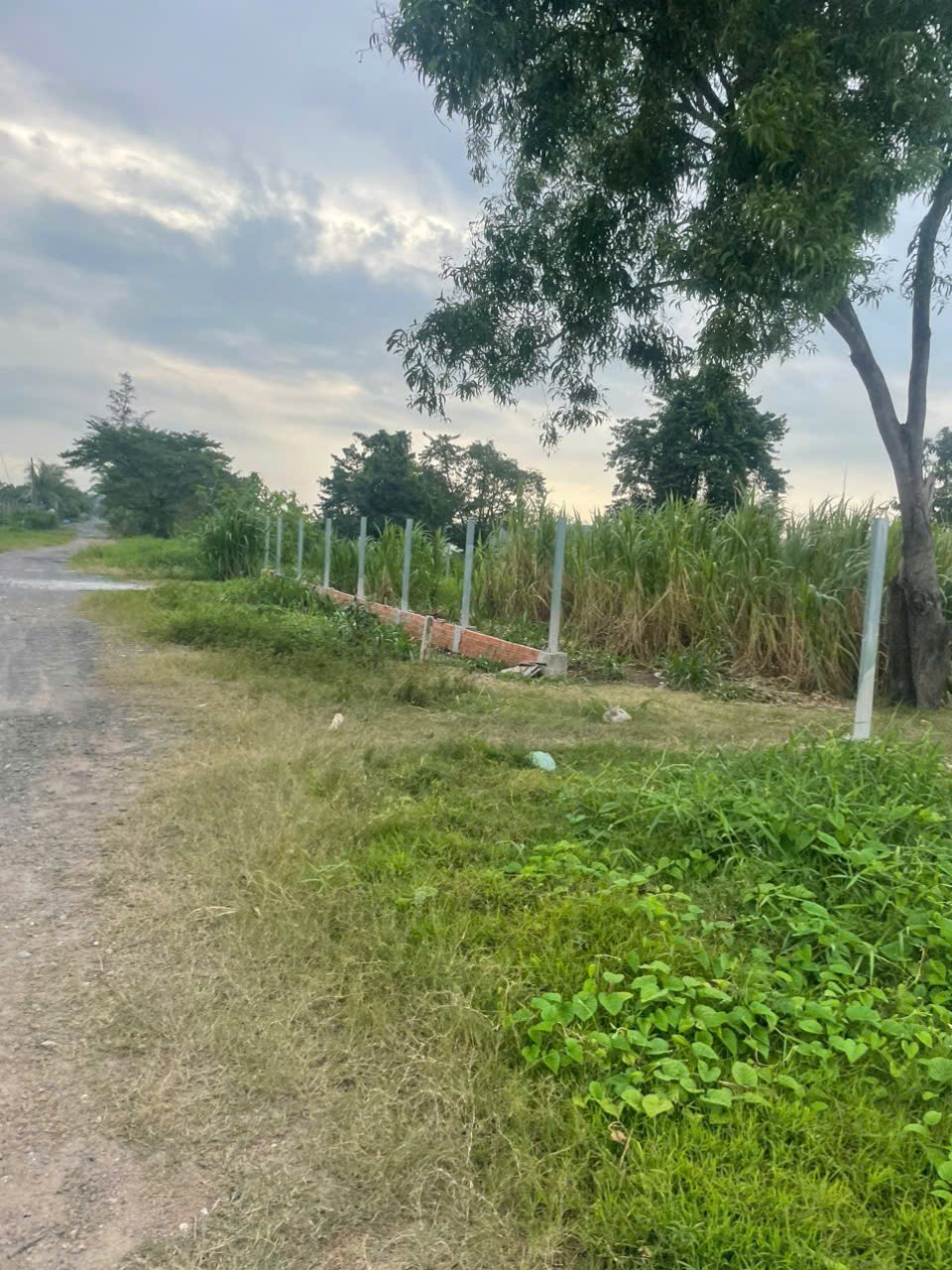 ĐẤT 2MT SÔNG SÀI GÒN NHỊ BÌNH, HÓC MÔN FULL THỔ CƯ 1.800m² NHĨNH 39 TỶ 2