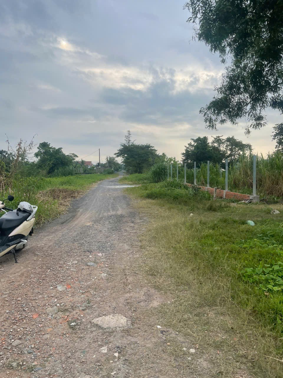 ĐẤT 2MT SÔNG SÀI GÒN NHỊ BÌNH, HÓC MÔN FULL THỔ CƯ 1.800m² NHĨNH 39 TỶ 5