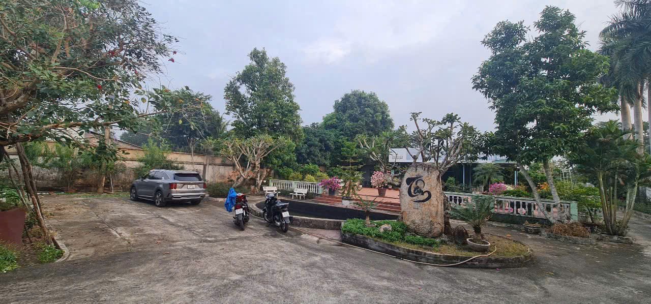 BÁN GẤP LÔ ĐẤT 2 MẶT TIỀN – NHỊ BÌNH 16, HÓC MÔN – 2.385m² CÓ NHÀ, SỔ RIÊNG 2