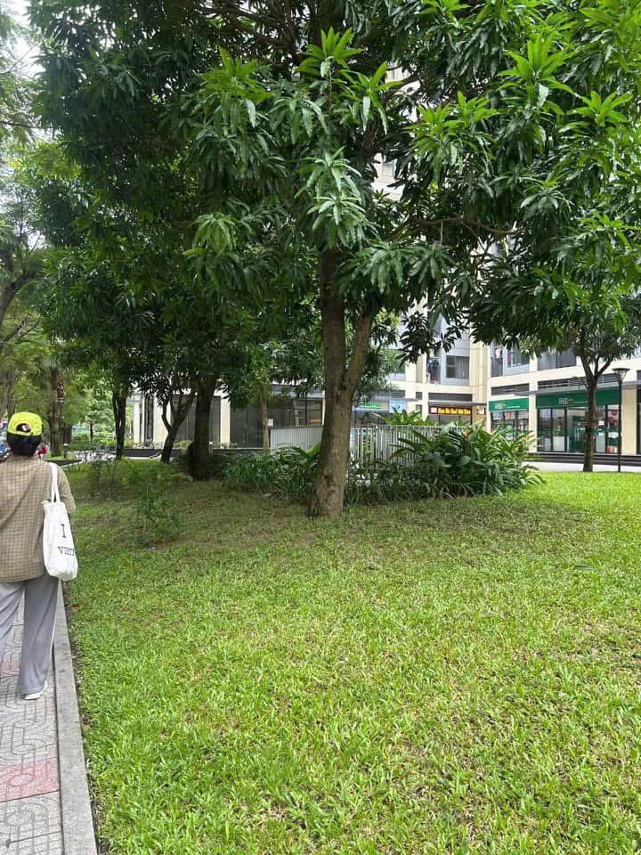 Cho thuê Nhà mặt tiền Phường Long Thạnh Mỹ, Quận 9, Diện tích 81m², Giá 45 Triệu/tháng 5