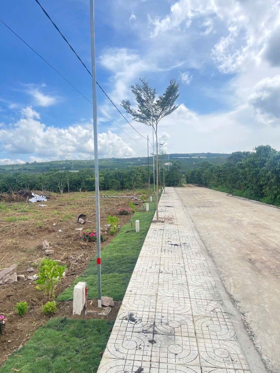Bán gấp 200m2 đất giá 200 triệu liên hệ 0357 645 645 2